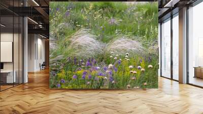 feather grass in a meadow with wild flowers. natural plant background Wall mural