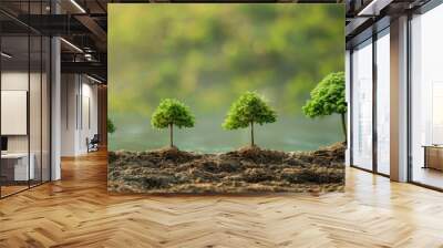 a tree growing from sapling to full grown left to right  Wall mural