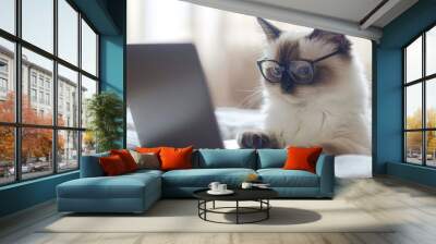 one of cat wearing glasses using laptop on white background Wall mural