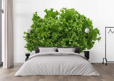 Fresh Green Lettuce Wall mural