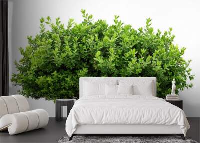 shape green bush isolated on transparent background Wall mural