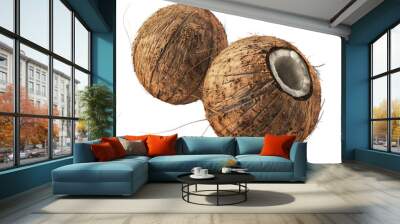 Two Coconuts Wall mural