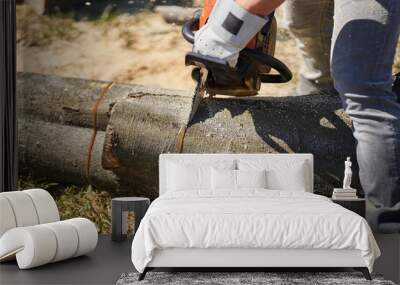 Lumberjack with chainsaw working Wall mural