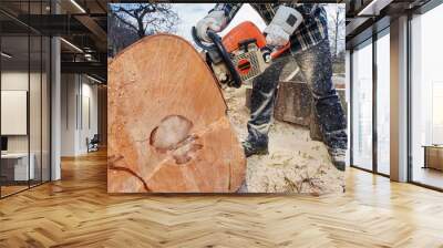 Lumberjack with chainsaw working Wall mural