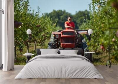 Senior farmer driving his tractor Wall mural