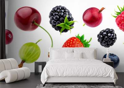 Berries collection isolated on white background with clipping path Wall mural