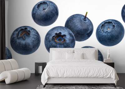 Blueberry berry isolated Wall mural