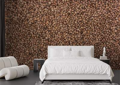 Brown lentils background Wall mural