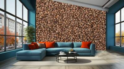 Brown lentils texture Wall mural