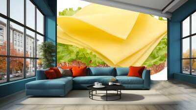 Cheese sandwich, gouda slices on piece of bread with lettuce leaves, full depth of field, top view Wall mural