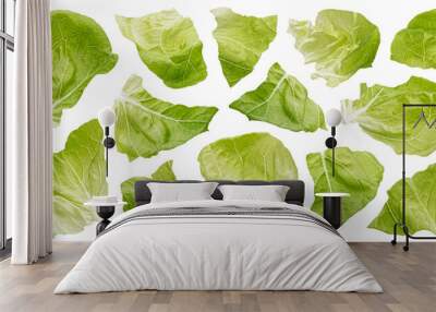 Chopped Iceberg lettuce leaves isolated on white background Wall mural