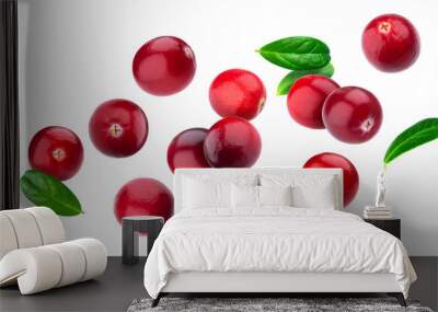 Cranberry isolated on white background with clipping path Wall mural