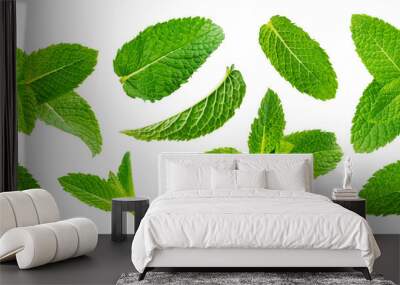 Fresh mint leaves isolated on white background Wall mural