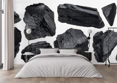 Natural wood charcoal isolated on white background Wall mural