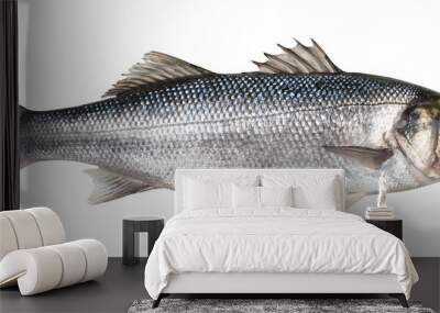 One fresh sea bass fish isolated on white background Wall mural