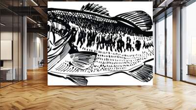 hand drawn vector illustration of the perch fish Wall mural