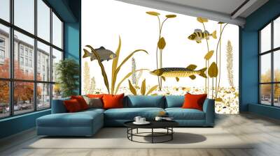 River, lake underwater world. Vector background. Wall mural