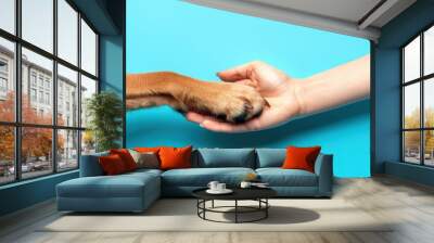 Dog paw and human hand are doing a handshake isolated on a bright vibrant blue background. Creative animal or dog shelter concept. Minimal banner for animal friendship advertisement with copy space. Wall mural