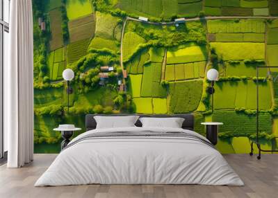 background of stacked images of green fields from a drone Wall mural