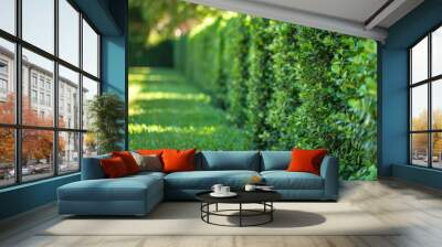 living fence using shrubs or hedges Wall mural