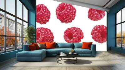 Himbeeren, unterschiedlich geneigt Wall mural