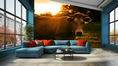 cow in the field Wall mural