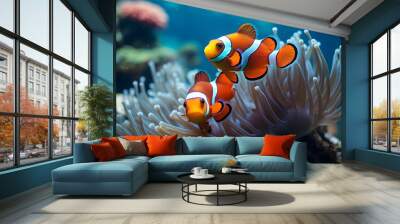 two clown fish swimming in an anemone - sea anemone Wall mural