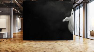 abstract halloween ghost against  background with copy space.  panoramic view with a mysterious atmosphere
 Wall mural