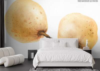 Fresh chinese pears Wall mural