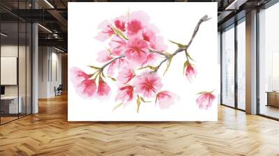 Watercolor cherry blossom in asian one-stroke painting style Wall mural