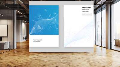 A4 brochure layout of covers design templates for flyer leaflet, A4 brochure design, report, presentation, magazine cover, book design. Polygonal science background with connecting dots and lines. Wall mural