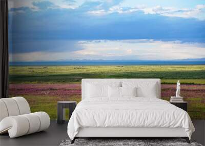 beautiful landscape in qinghai lake with flower Wall mural