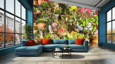 Flower pots decorate on white wall and colorful flowers in the spring garden blossom beautiful Wall mural