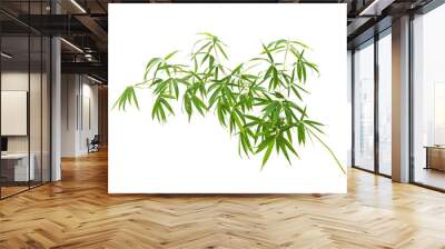 green bamboo leaves isolated on white background Wall mural