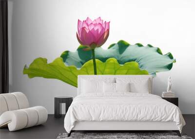 Lotus flower isolated on white background Wall mural