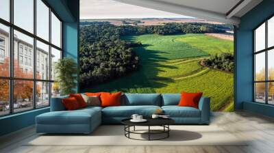 Soybean fields on atlantic rainforest Wall mural