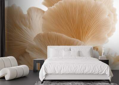 Organic Mushroom Wall mural