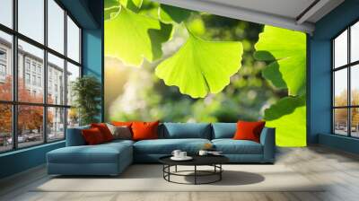 gingko leaf Wall mural