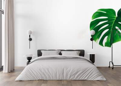 Floral natural background. Monstera tropical green plant leaf on white isolated background Wall mural