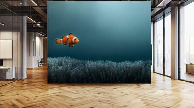 A lone clownfish swims above a bed of anemones in the ocean Wall mural