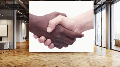 two young men shaking hands, close-up, studio shot Wall mural