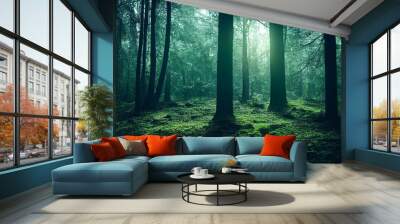 Epic forest landscape back light foggy scene with no people  Wall mural