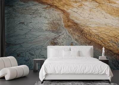 Topographic map background with contour lines and geographic grid Wall mural