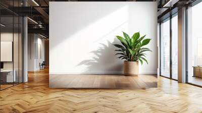 white wall interior room with potted plant Wall mural