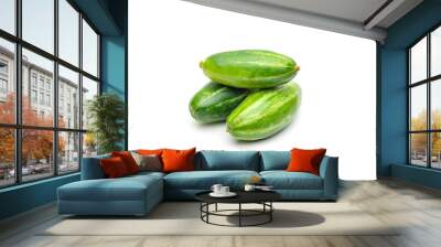 Raw indian potol or pointed gourd vegetable on isolated white background Wall mural