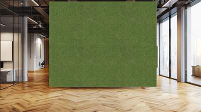 Green grass background 3d render grass. Wall mural