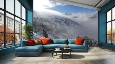 the top of the mountains with forest covered with snow, fog and clouds on a sunny frosty day Wall mural