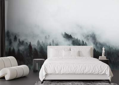 Moody forest landscape with fog and mist Wall mural