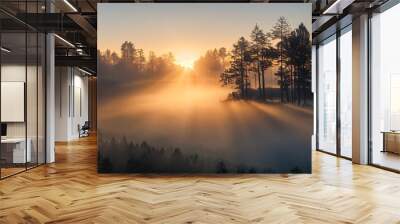 sunrise in the forest Wall mural