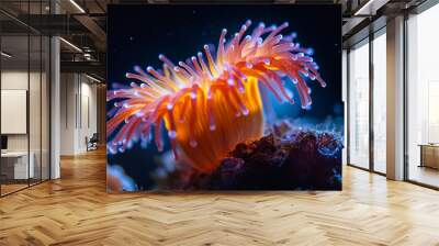 Vibrant Sea Anemone in a Coral Reef Wall mural